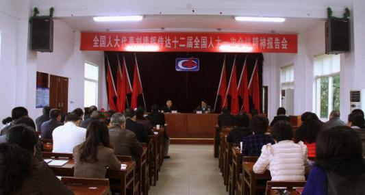 公司舉行傳達十二屆全國人大一次會議精神報告會